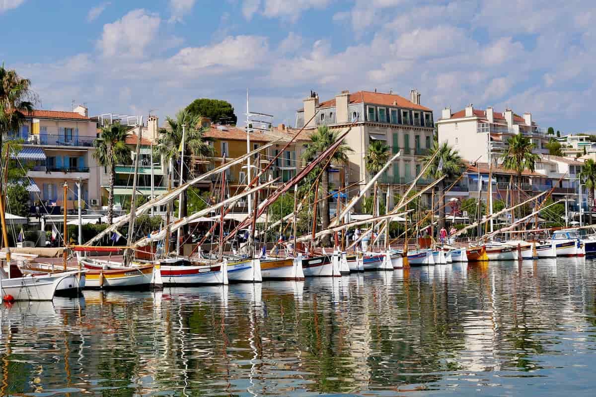 Services d'élagage à Bandol : expertise en taille de palmiers