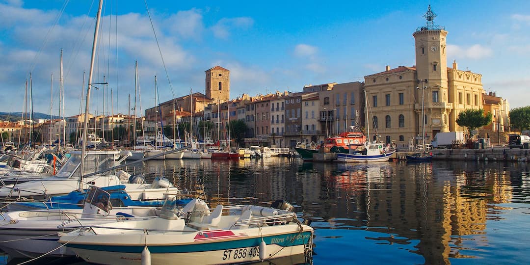 Services d'élagage à La Ciotat : entretien des arbres en bord de mer