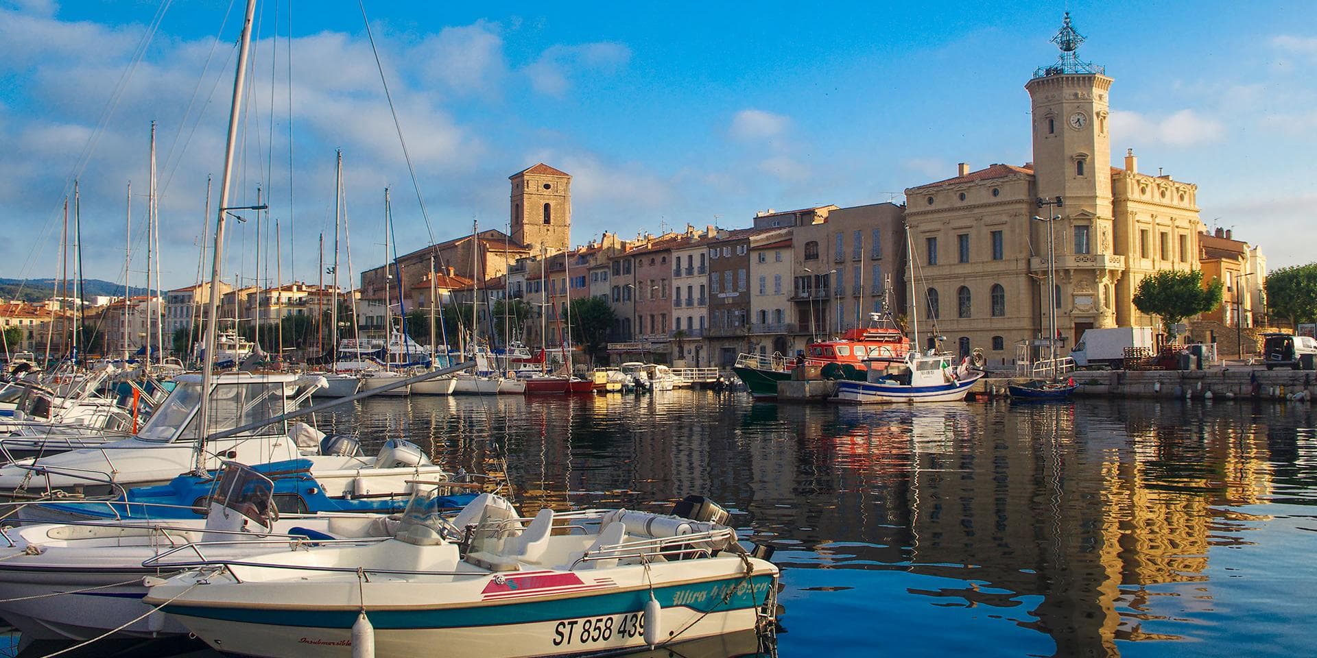 Services d'élagage à La Ciotat : entretien des arbres en bord de mer
