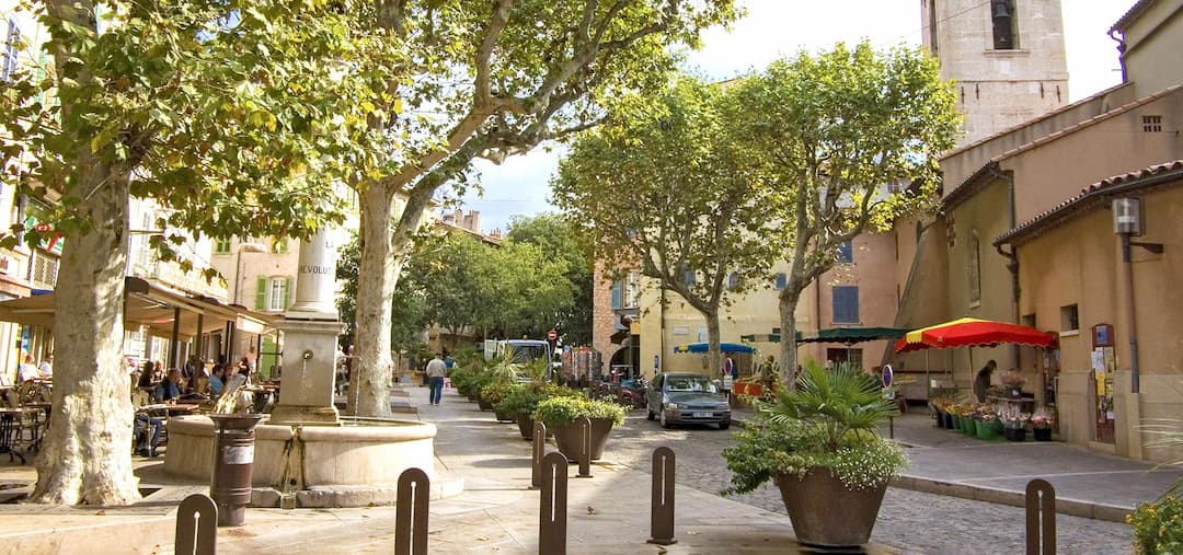 Services d'élagage à La Valette-du-Var