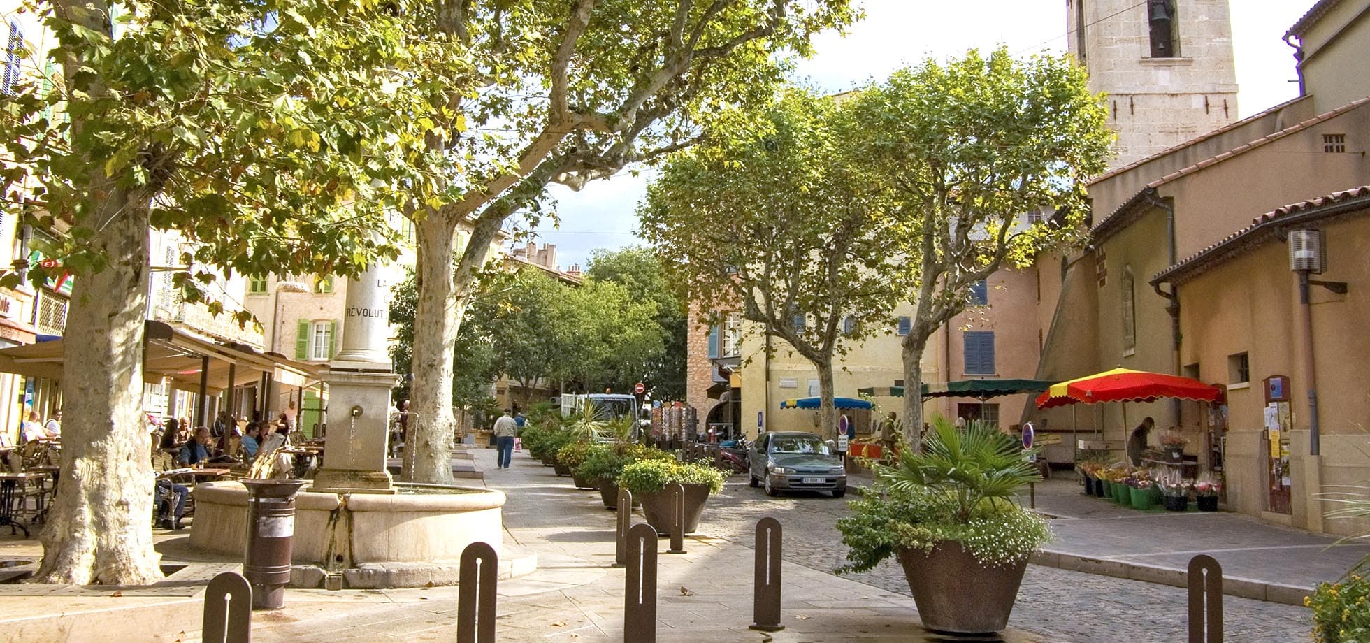 Services d'élagage à La Valette-du-Var