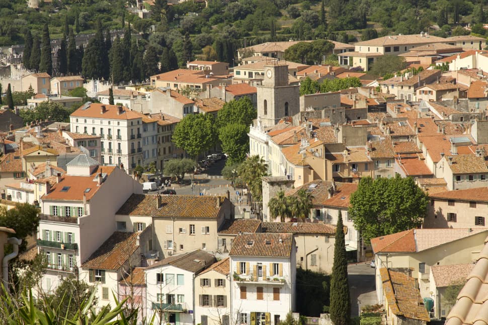 Services d'élagage à Ollioules : entretien des espaces verts