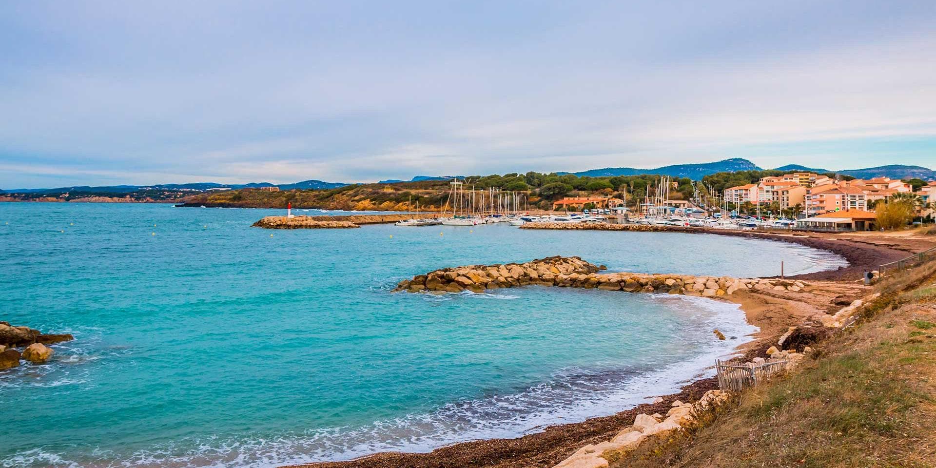 Élagage à Six-Fours-les-Plages : entretien des arbres en zone littorale