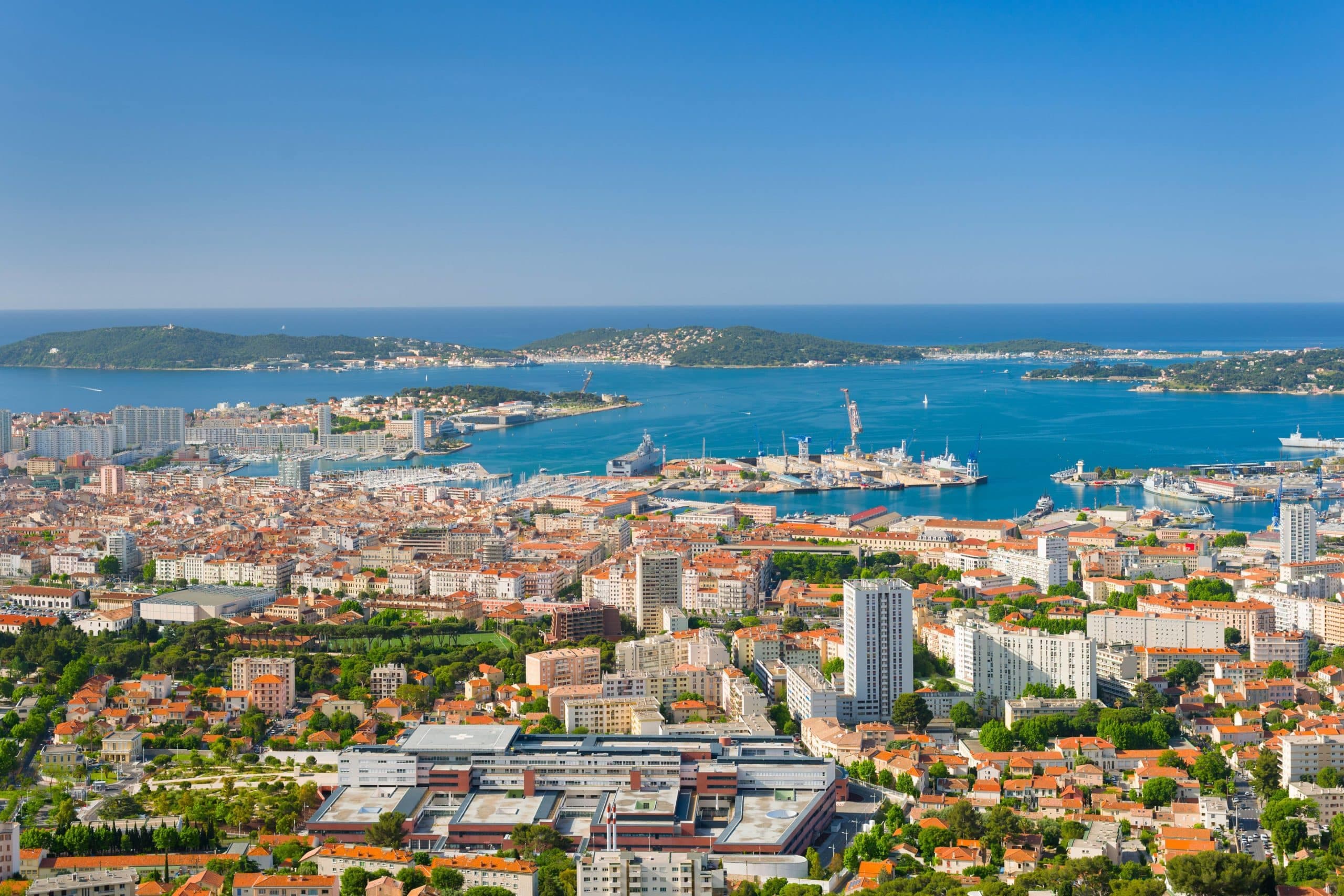 Élagage et entretien d'arbres à Toulon